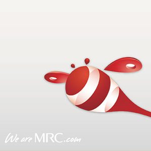 “朱赤”投資品牌識別設(shè)計